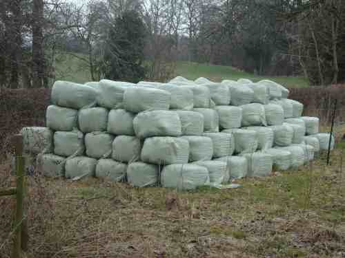 haylage stack